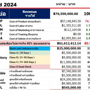 CEO Dashboard 2024