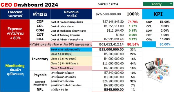 CEO Dashboard 2024