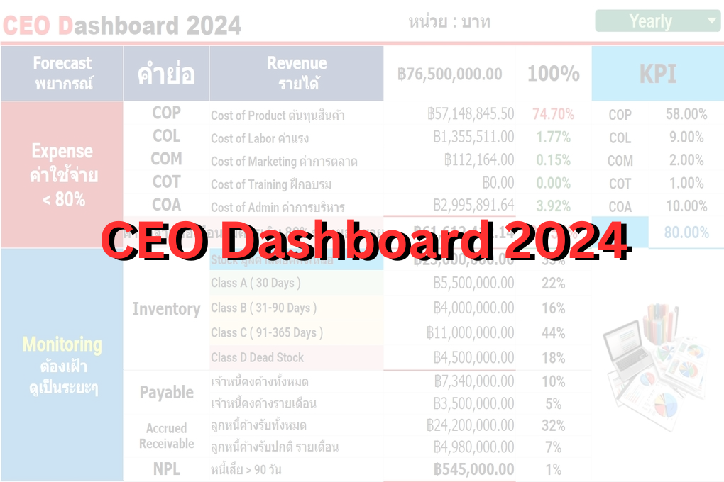 CEO Dashboard 2024