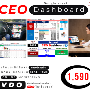 CEO Dashboard